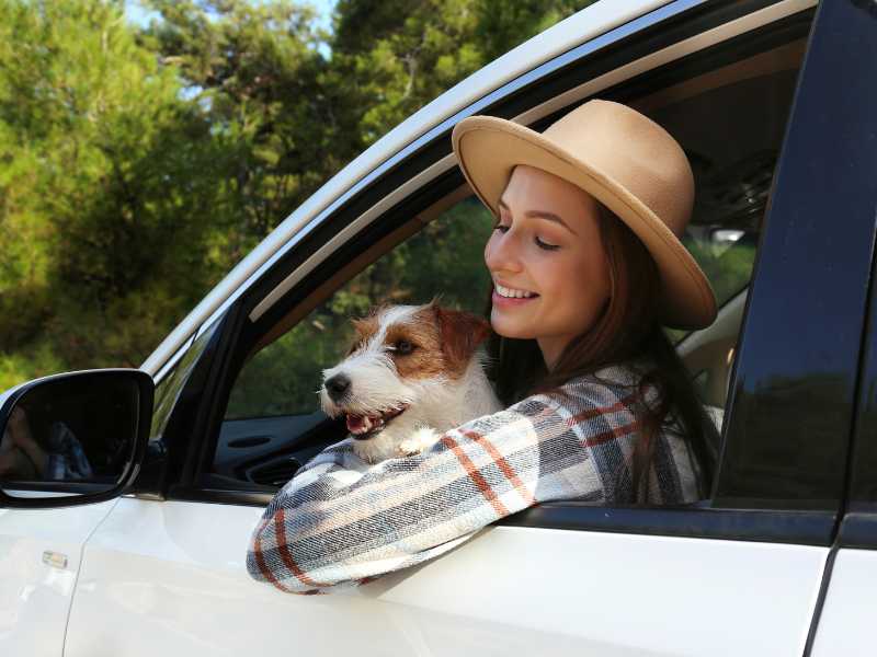 Photo: A woman holds her Terrier as theyre about to take a road trip together.